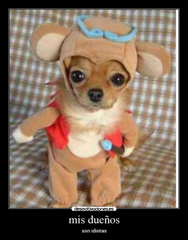 mis dueños -