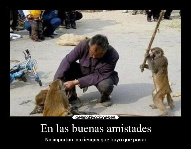 En las buenas amistades - 