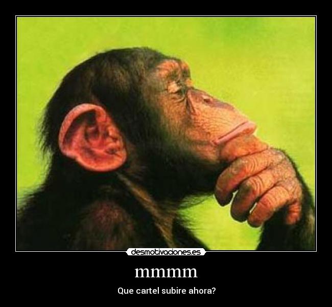mmmm - Que cartel subire ahora?