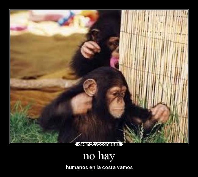 no hay - 
