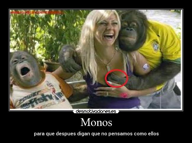 Monos - 