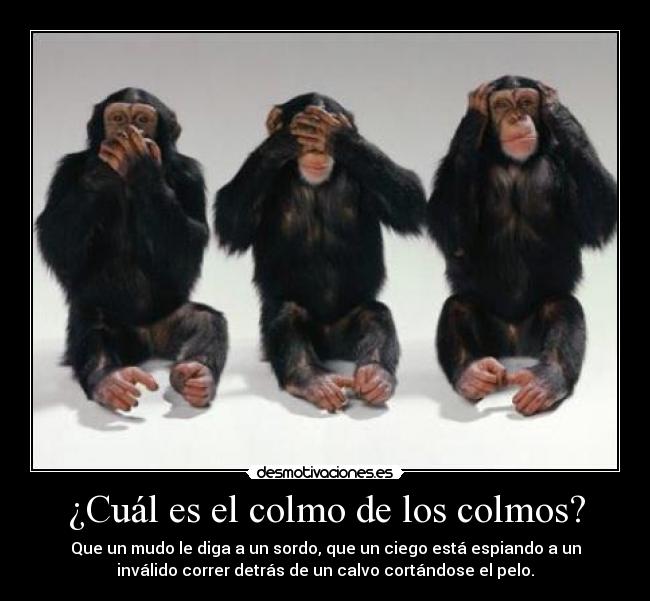 ¿Cuál es el colmo de los colmos? - Que un mudo le diga a un sordo, que un ciego está espiando a un
inválido correr detrás de un calvo cortándose el pelo.
