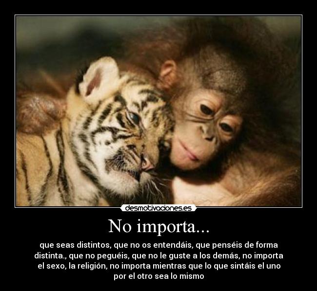 No importa... - que seas distintos, que no os entendáis, que penséis de forma
distinta., que no peguéis, que no le guste a los demás, no importa
el sexo, la religión, no importa mientras que lo que sintáis el uno
por el otro sea lo mismo