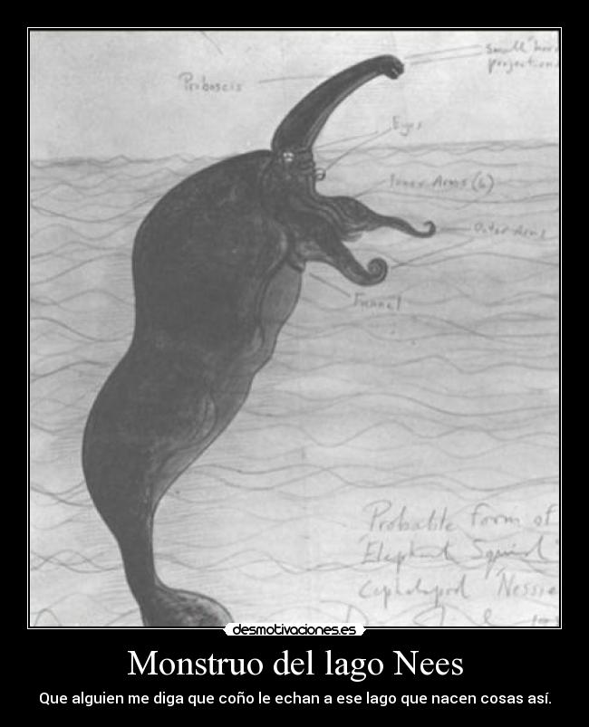 Monstruo del lago Nees - Que alguien me diga que coño le echan a ese lago que nacen cosas así.