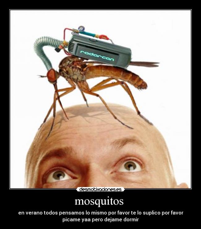 mosquitos - en verano todos pensamos lo mismo por favor te lo suplico por favor
picame yaa pero dejame dormir