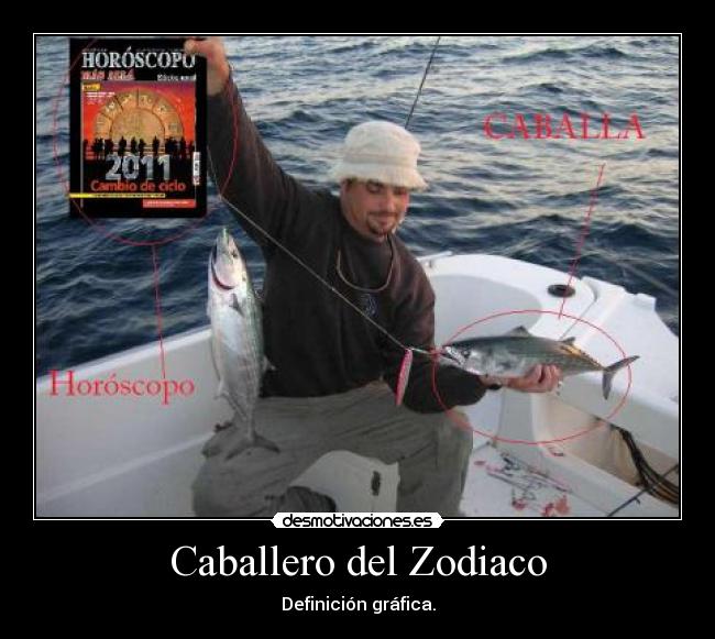 Caballero del Zodiaco - Definición gráfica.