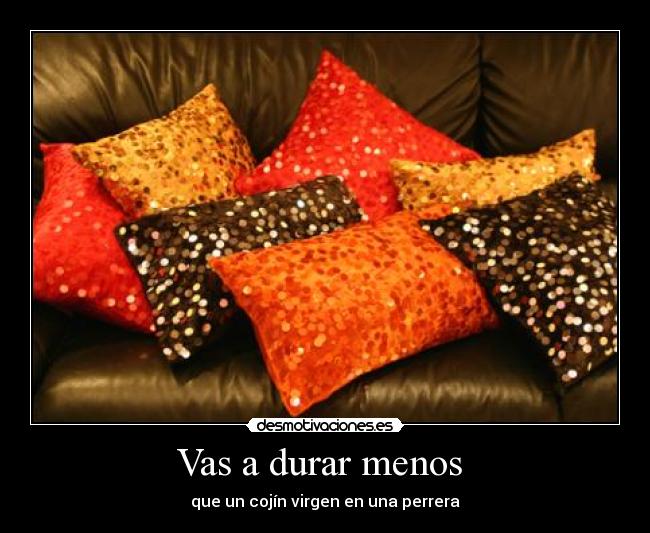 Vas a durar menos - que un cojín virgen en una perrera