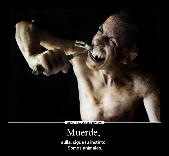 Muerde, -