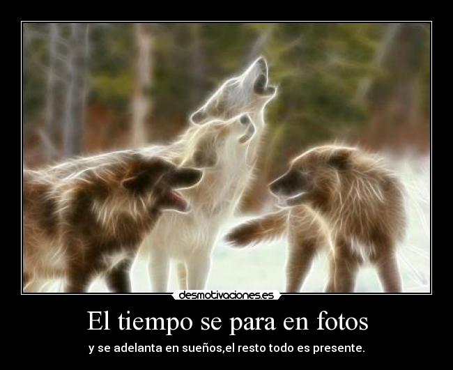 carteles tiempo para fotos desmotivaciones