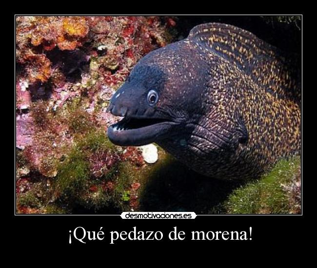 ¡Qué pedazo de morena! - 