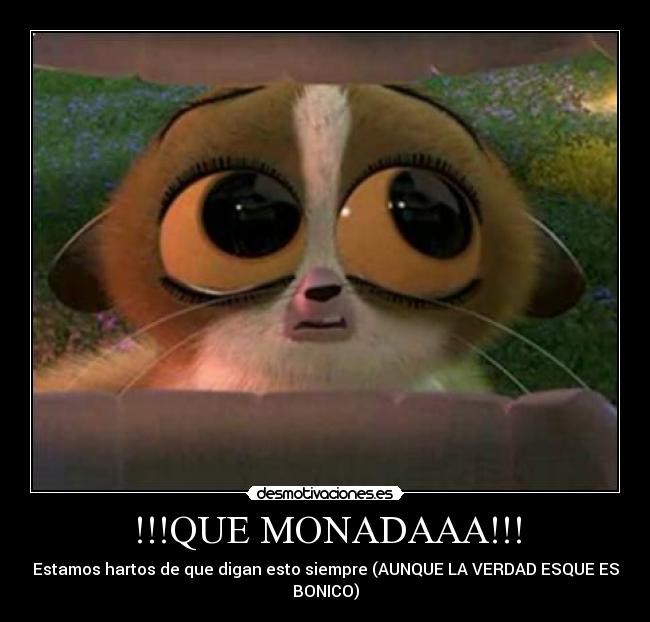 !!!QUE MONADAAA!!! - Estamos hartos de que digan esto siempre (AUNQUE LA VERDAD ESQUE ES
BONICO)