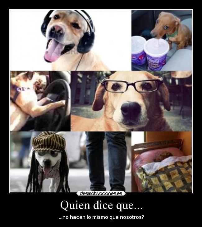 Quien dice que... -