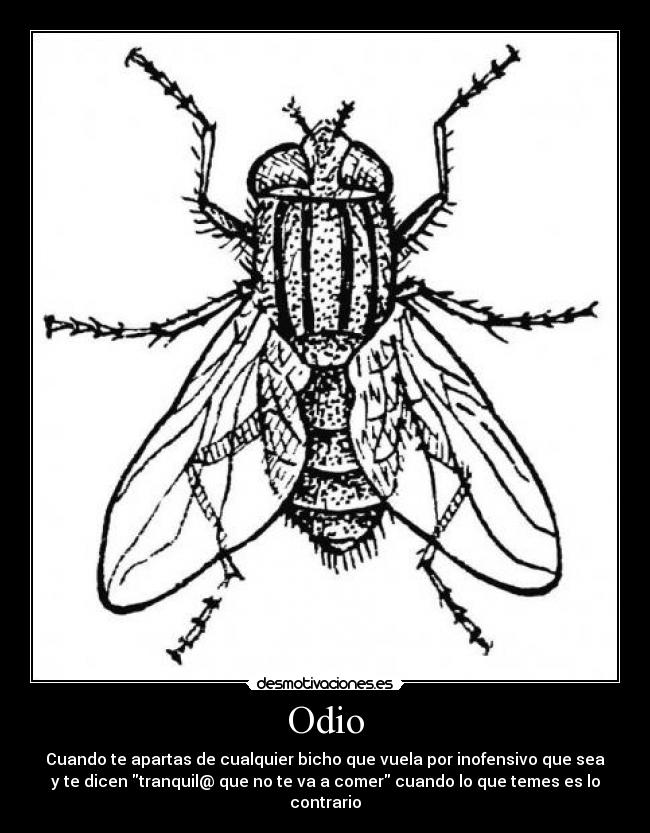 Odio - Cuando te apartas de cualquier bicho que vuela por inofensivo que sea
y te dicen tranquil@ que no te va a comer cuando lo que temes es lo contrario