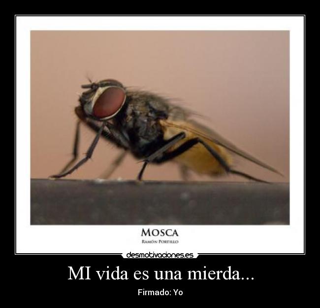 MI vida es una mierda... - Firmado: Yo