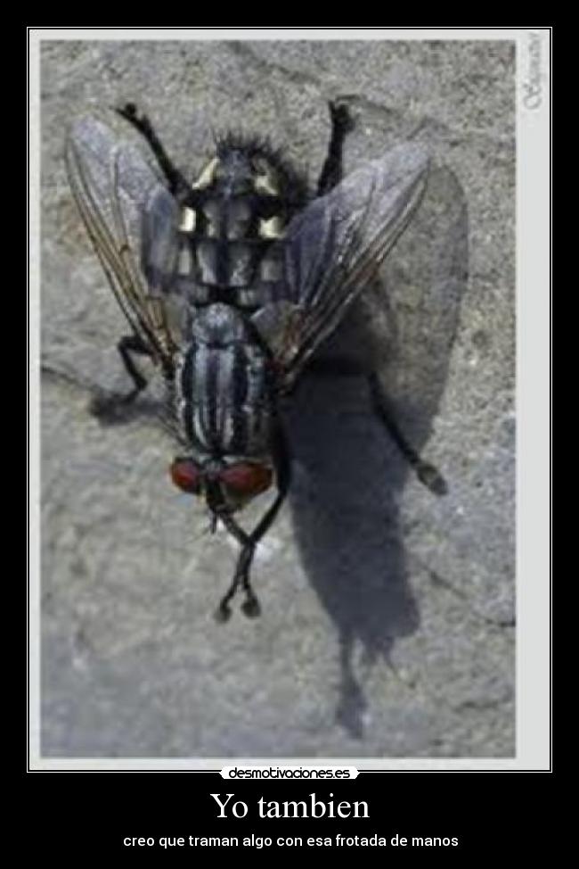 Yo tambien - creo que traman algo con esa frotada de manos