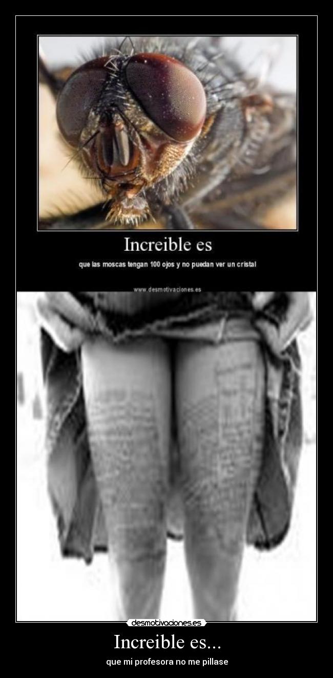 Increible es... - que mi profesora no me pillase