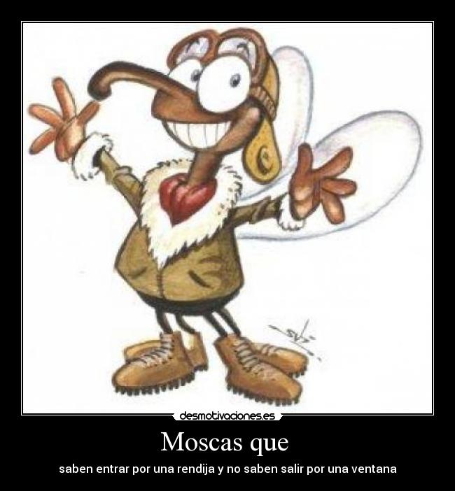 Moscas que  - 