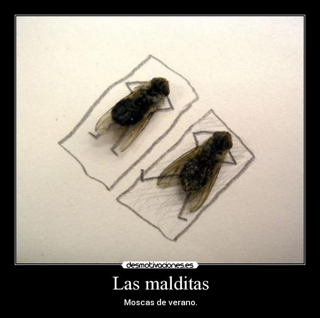 Las malditas -