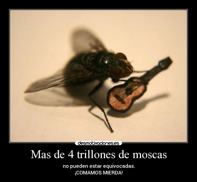 Mas de 4 trillones de moscas - no pueden estar equivocadas.
¡COMAMOS MIERDA!