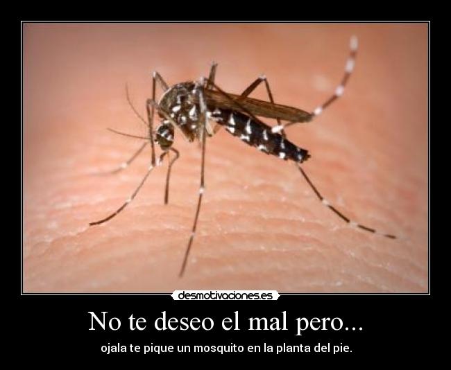 No te deseo el mal pero... - ojala te pique un mosquito en la planta del pie.
