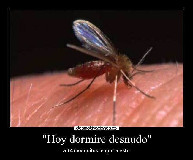 Hoy dormire desnudo -