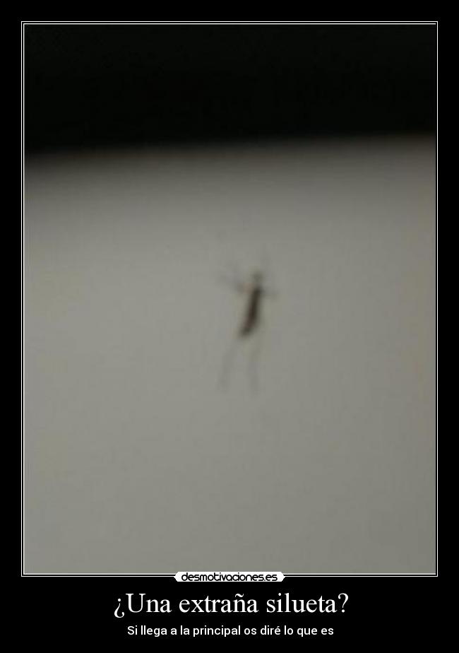 ¿Una extraña silueta? -
