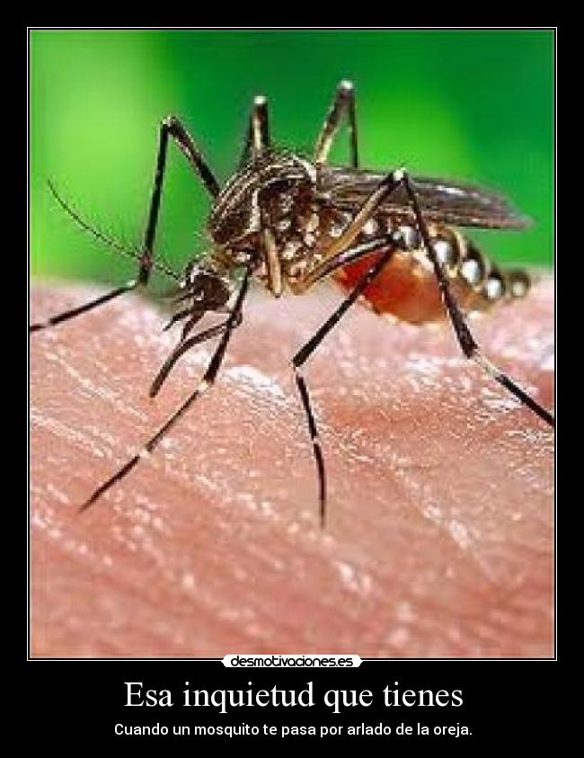 Esa inquietud que tienes - 