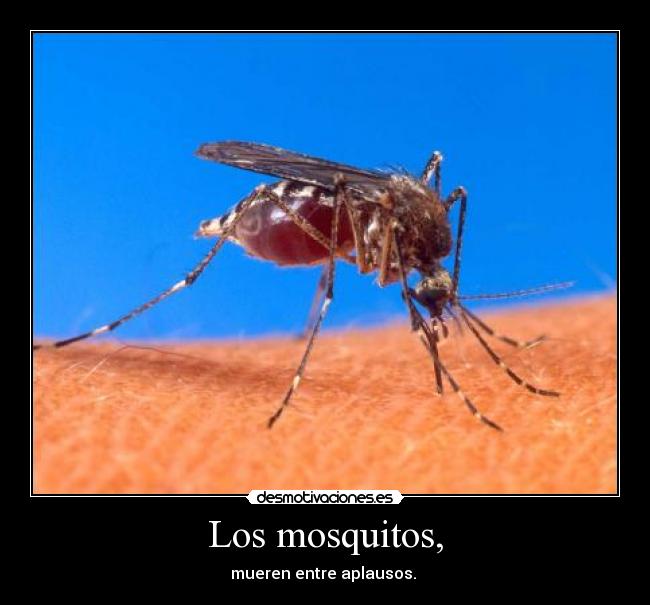 Los mosquitos, - 