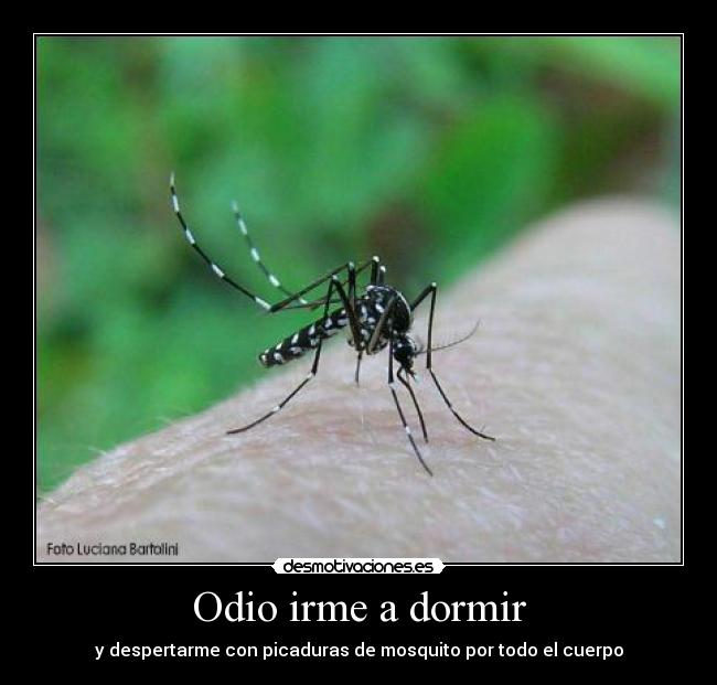 Odio irme a dormir - 