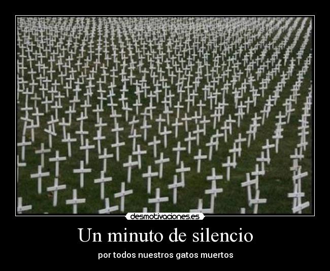 Un minuto de silencio - por todos nuestros gatos muertos