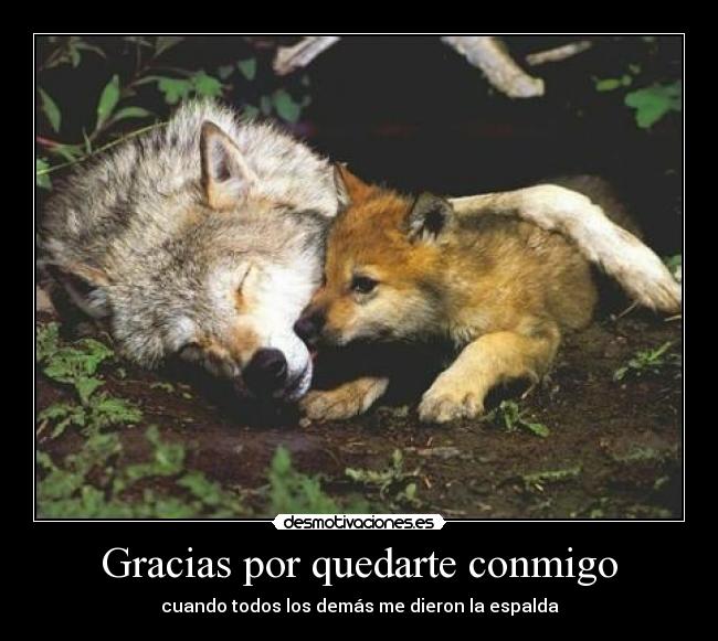 Gracias por quedarte conmigo -