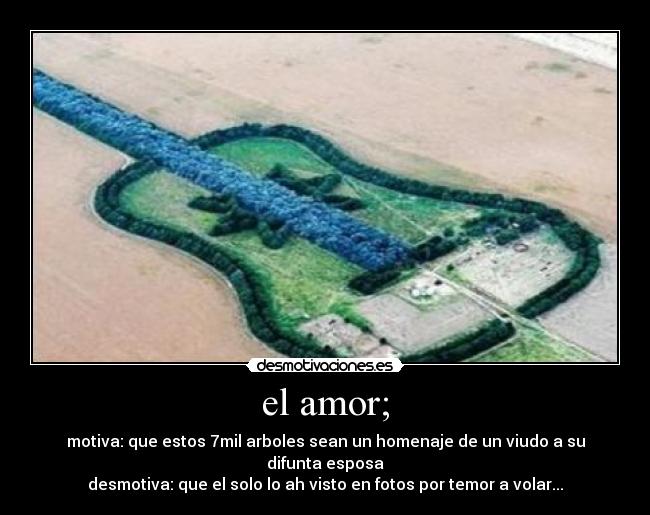 el amor; - motiva: que estos 7mil arboles sean un homenaje de un viudo a su difunta esposa
desmotiva: que el solo lo ah visto en fotos por temor a volar...