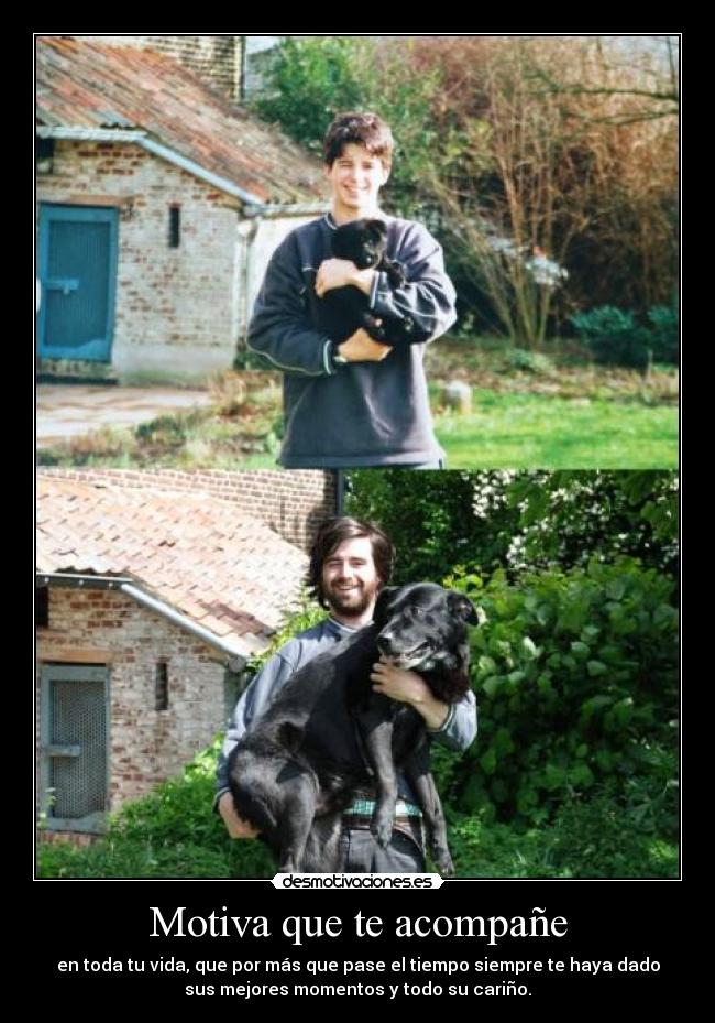 Motiva que te acompañe -