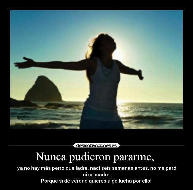 Nunca pudieron pararme, -