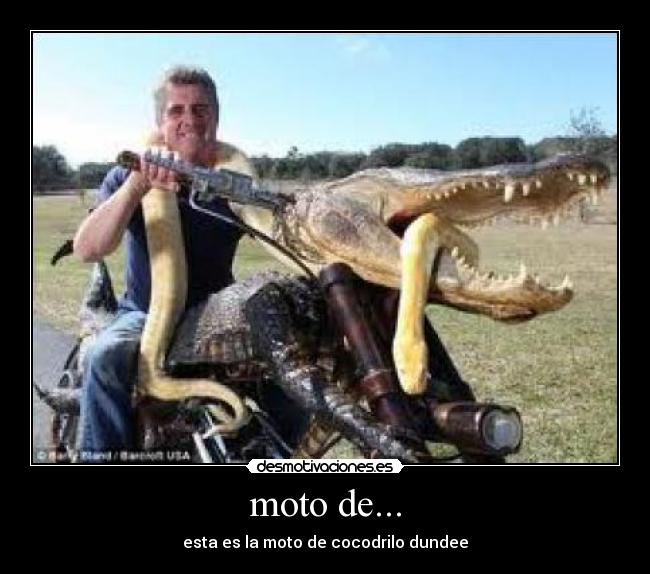 moto de... - esta es la moto de cocodrilo dundee