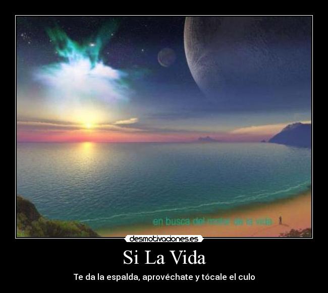 Si La Vida - 