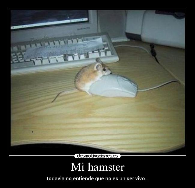Mi hamster -