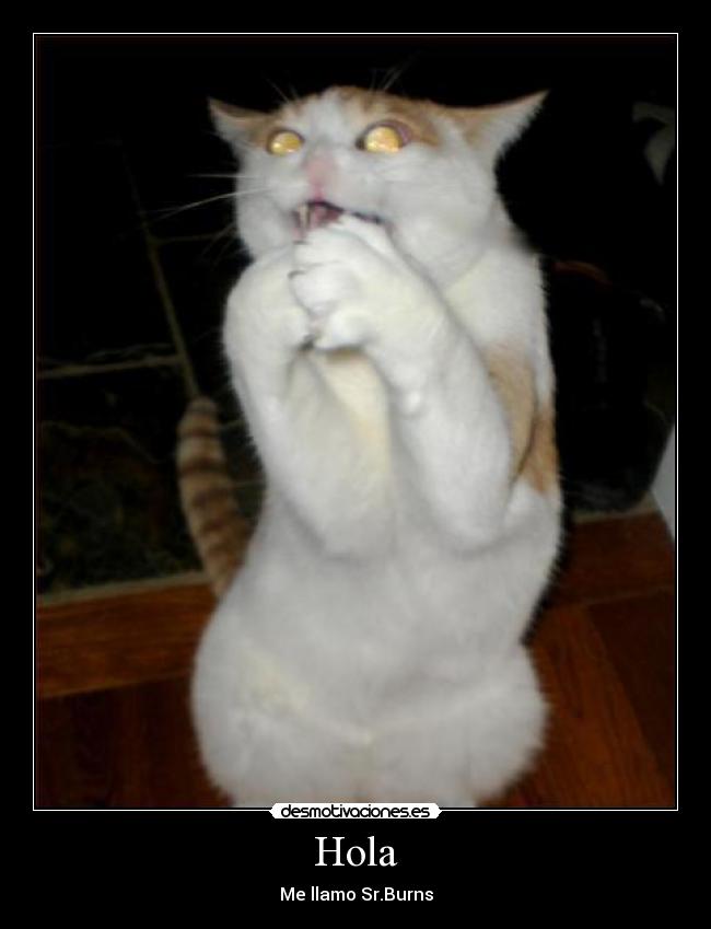 carteles desmotivaciones