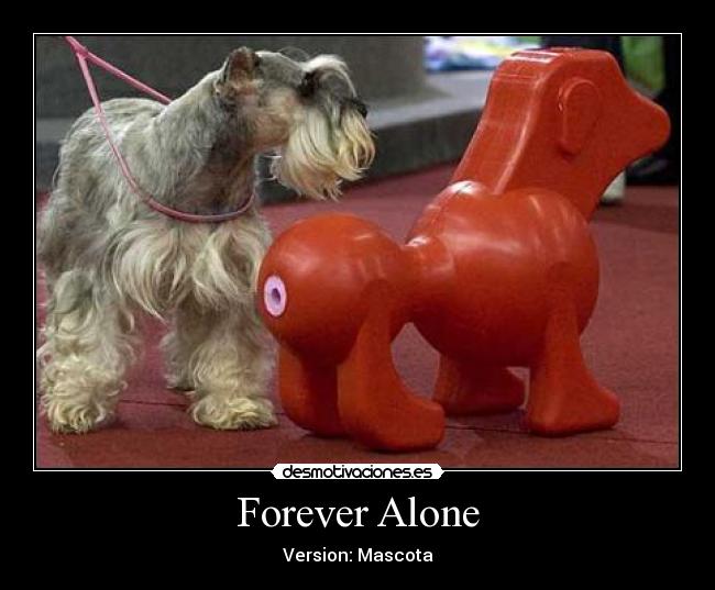 Forever Alone - 