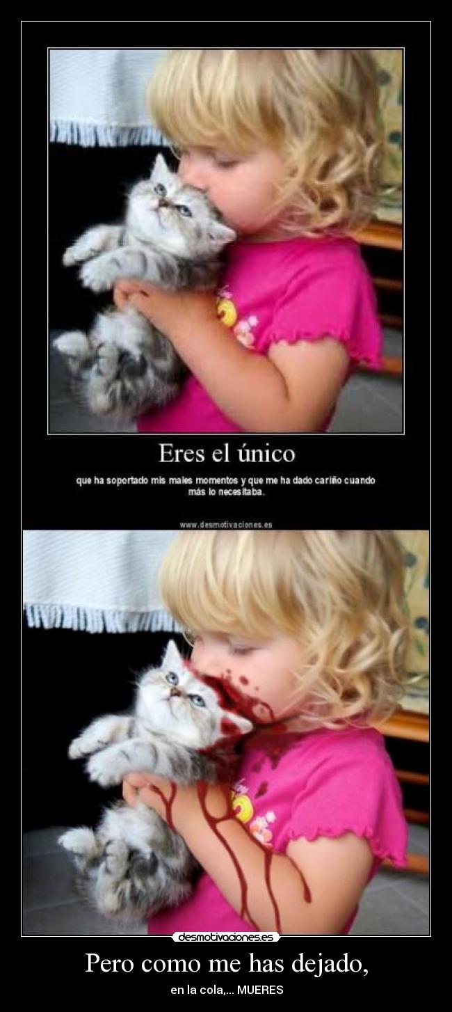 Pero como me has dejado, -