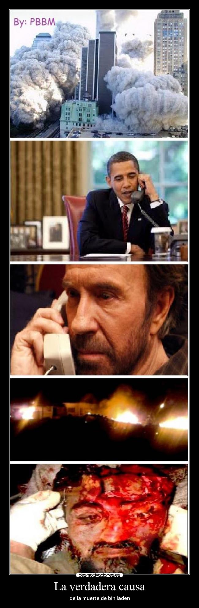 La verdadera causa - de la muerte de bin laden