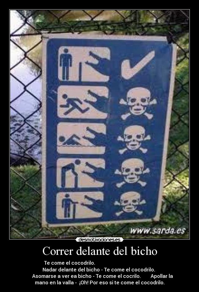 carteles cocodrilos desmotivaciones