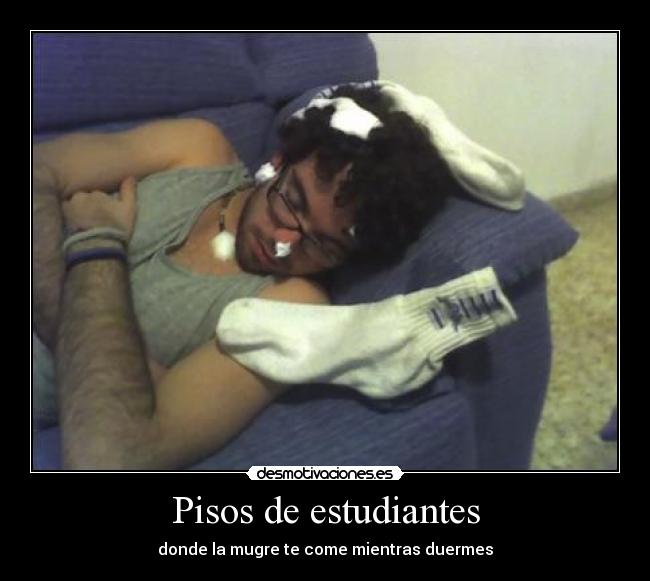 Pisos de estudiantes -