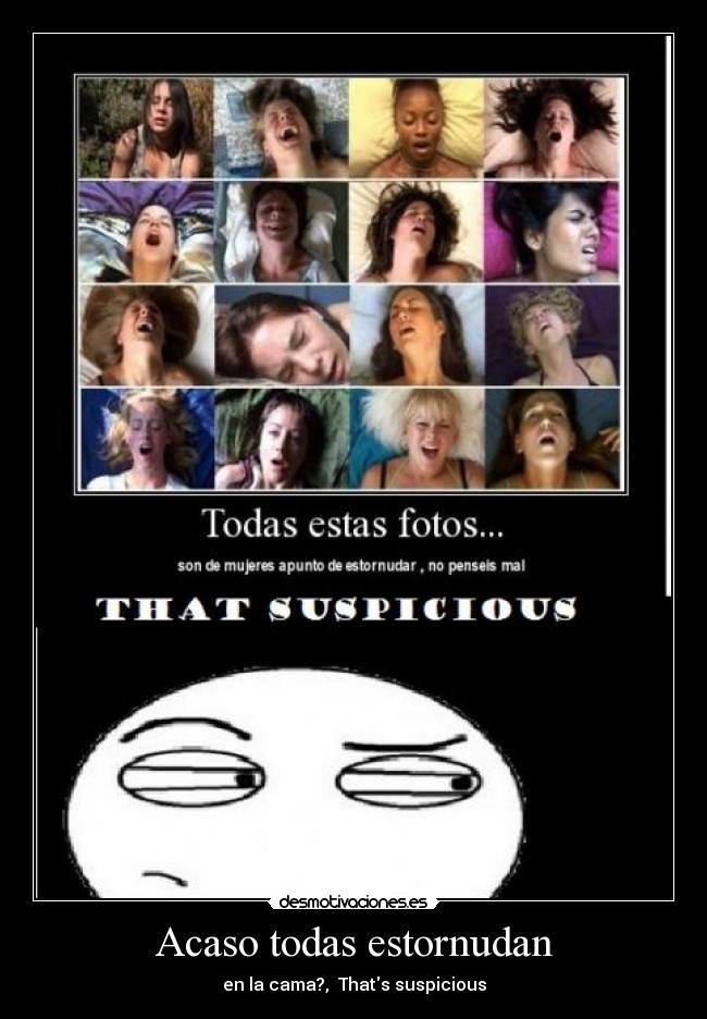 Acaso todas estornudan - en la cama?,  Thats suspicious