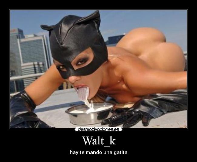 Walt_k - hay te mando una gatita