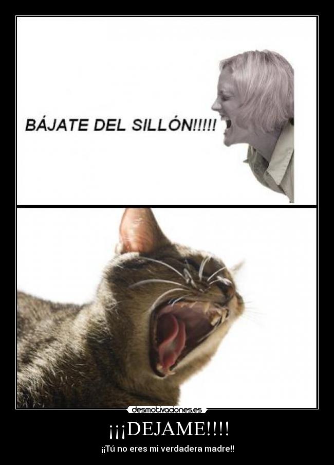 ¡¡¡DEJAME!!!! -