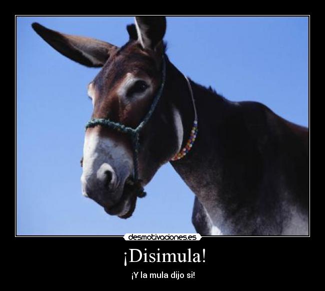 ¡Disimula! - 