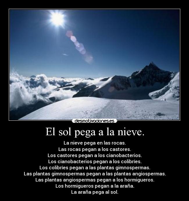 El sol pega a la nieve. - La nieve pega en las rocas.
Las rocas pegan a los castores.
Los castores pegan a los cianobacterios.
Los cianobacterios pegan a los colibríes.
Los colibríes pegan a las plantas gimnospermas.
Las plantas gimnospermas pegan a las plantas angiospermas.
Las plantas angiospermas pegan a los hormigueros.
Los hormigueros pegan a la araña.
La araña pega al sol.
