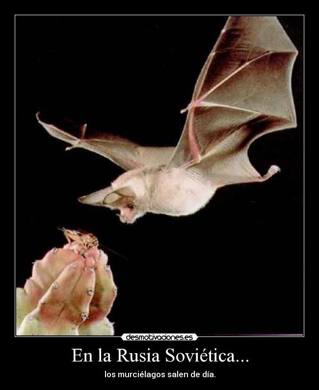 En la Rusia Soviética... - 
