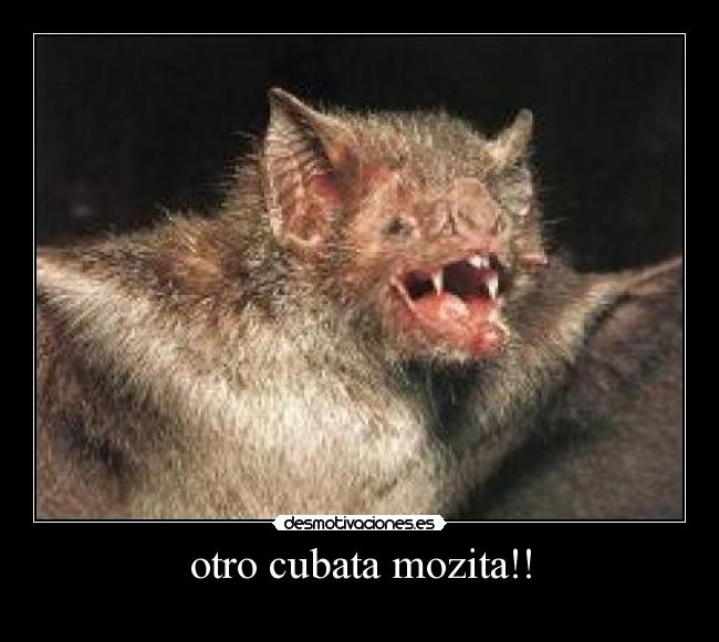 otro cubata mozita!! -